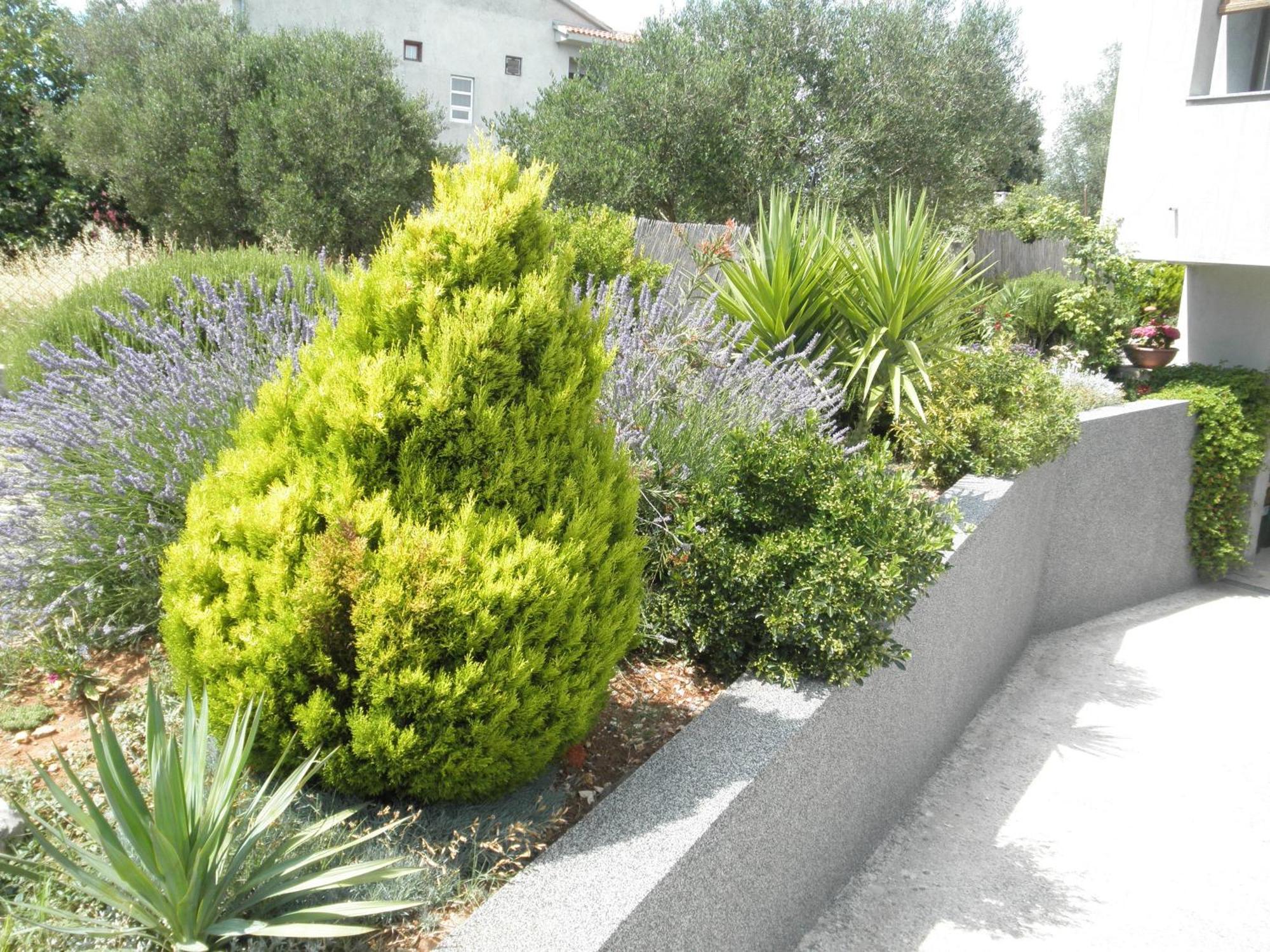 Apartman Dora Bibinje, 30 M From The Sea *