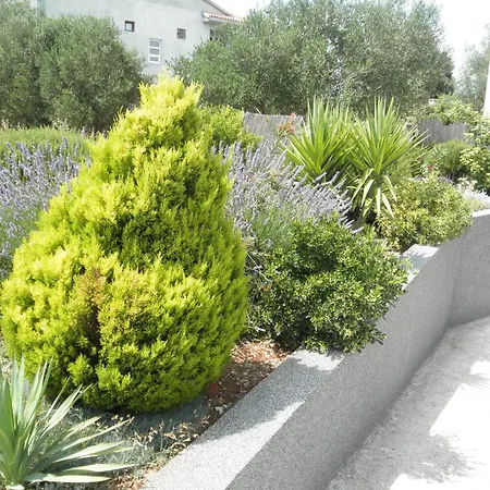 Apartments Dora Bibinje, 30 M From The Sea Room photo