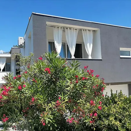 Apartments Dora Bibinje, 30 M From The Sea Exterior photo